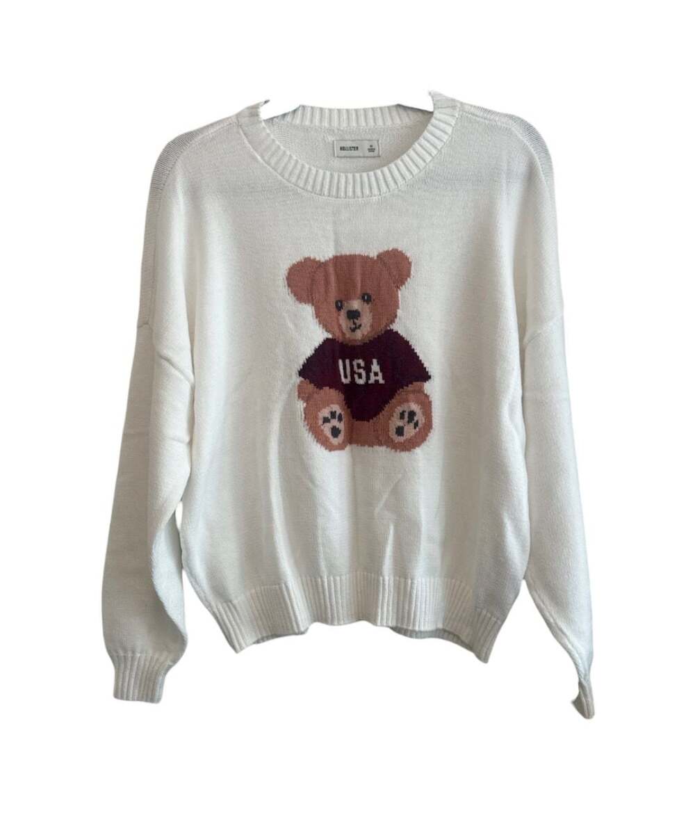 Hollister USA Teddy Bear Graphic Crewneck Knit Sweater